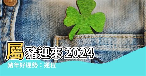 2024 豬 年運程 1983|【2024豬年運程1983】2024豬年生肖豬運勢！83年屬豬人全年好。